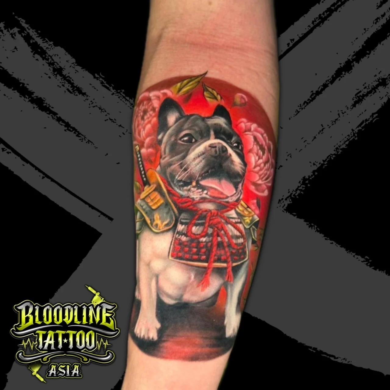 Colour forearm tattoo of a French Bulldog in samurai armour with a red sun and pink peonies at Bloodline Tattoo Bangkok.